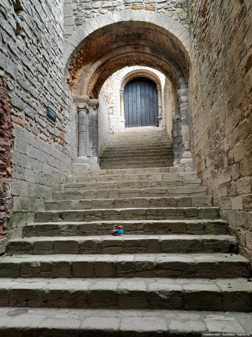 Продолжаем осматривать руины замка Райзинг (фото 8)