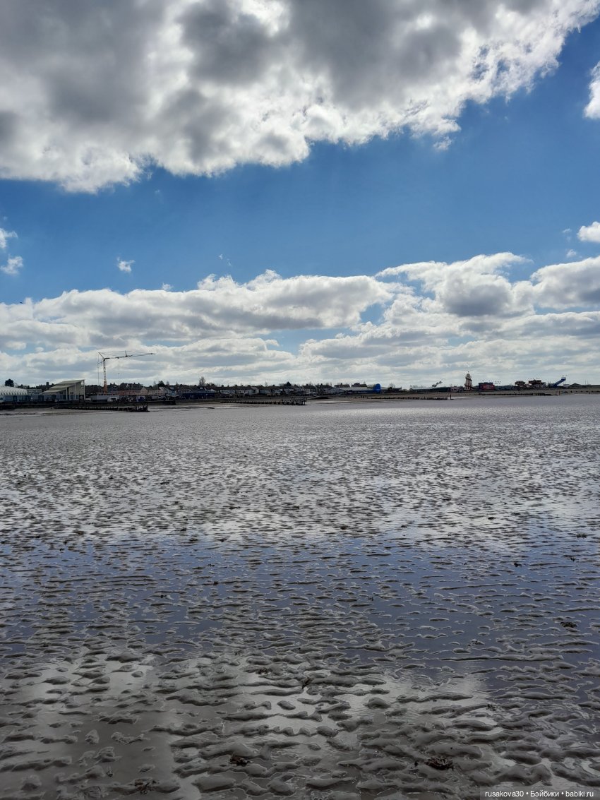 Борис и Басики у моря — Кот Басик (фото 4)