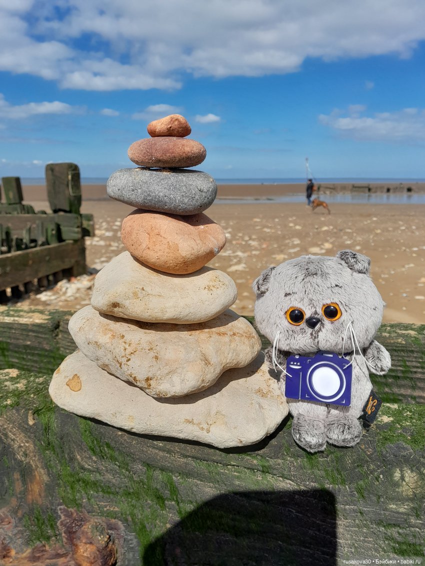 Борис и Басики у моря — Кот Басик (фото 10)