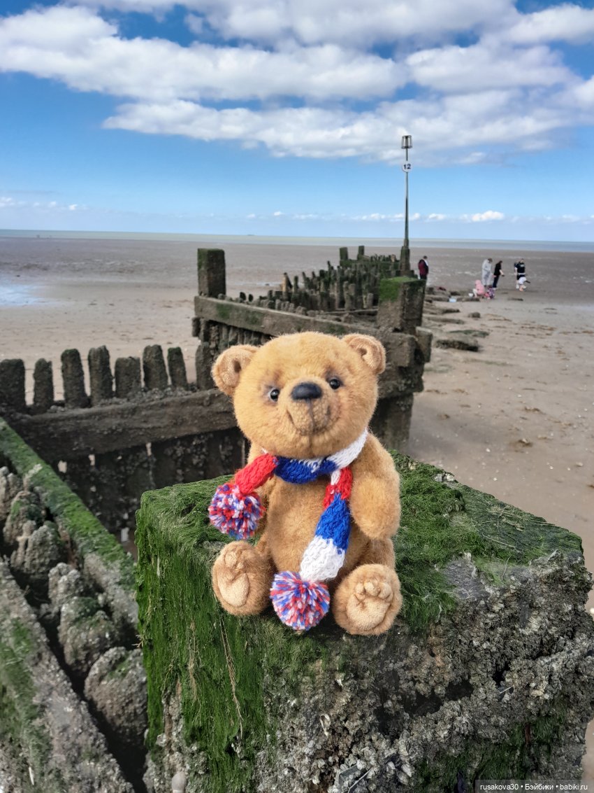 Борис и Басики у моря — Кот Басик (фото 8)