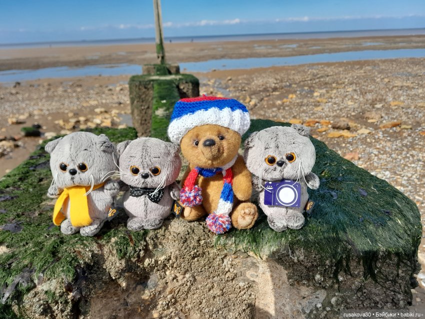 Борис и Басики у моря — Кот Басик