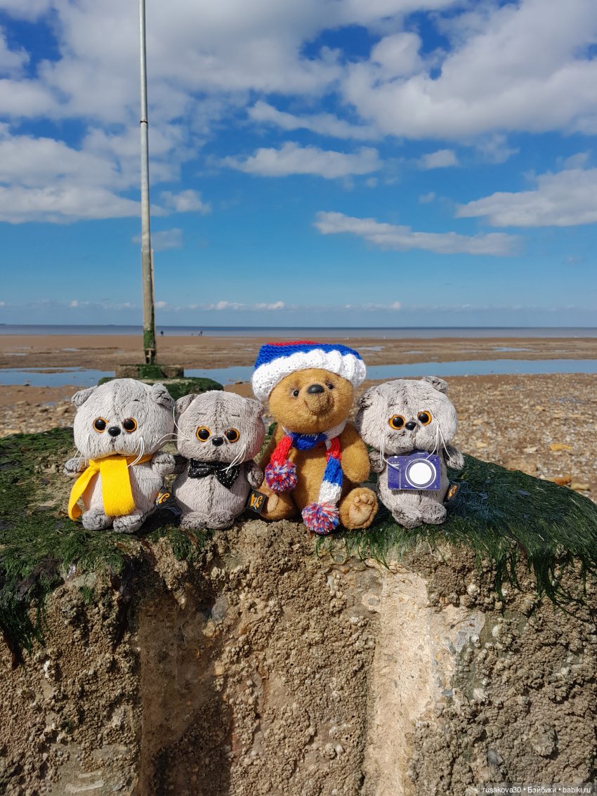 Борис и Басики у моря — Кот Басик (фото 9)