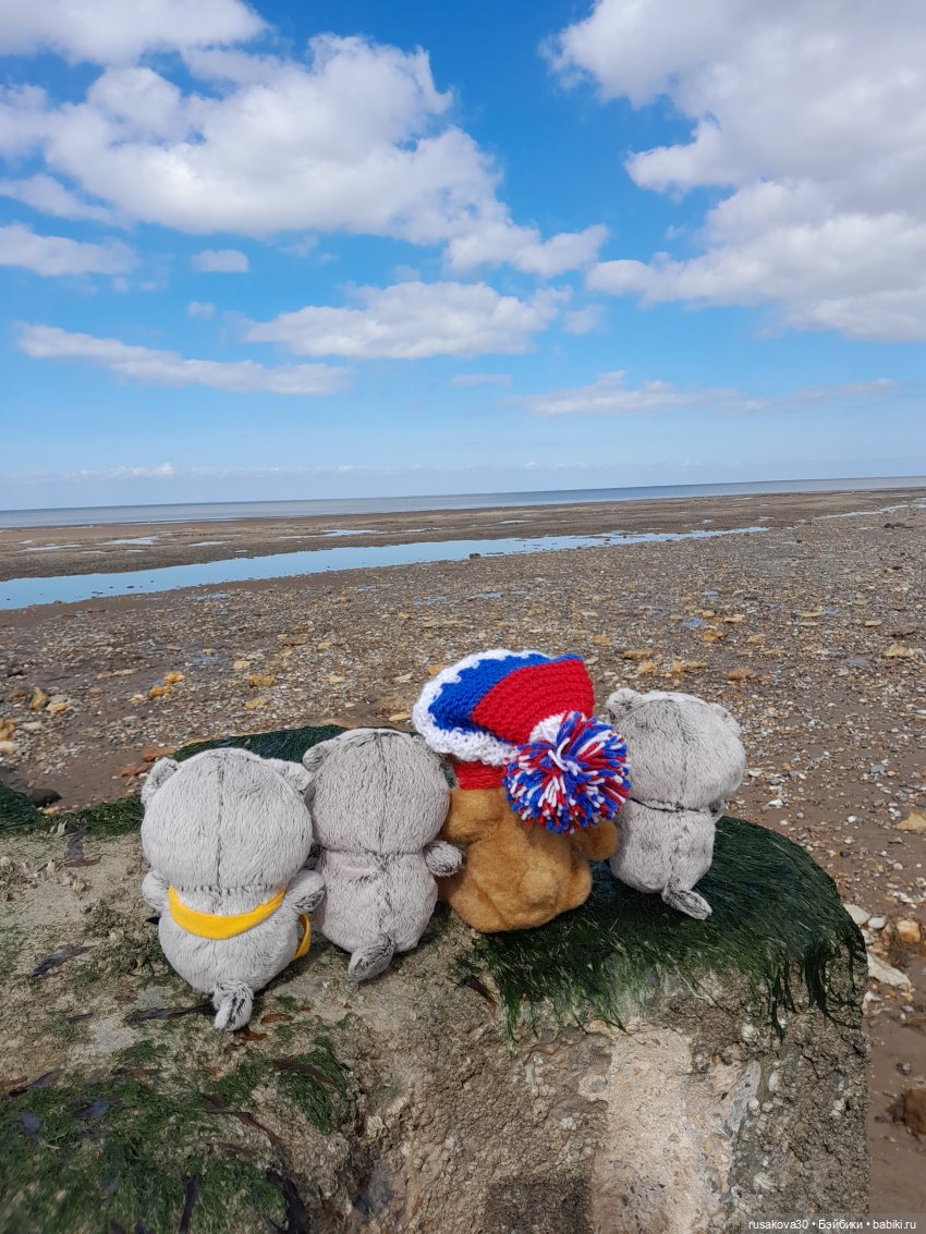 Борис и Басики у моря — Кот Басик