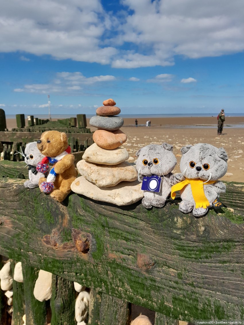 Борис и Басики у моря — Кот Басик