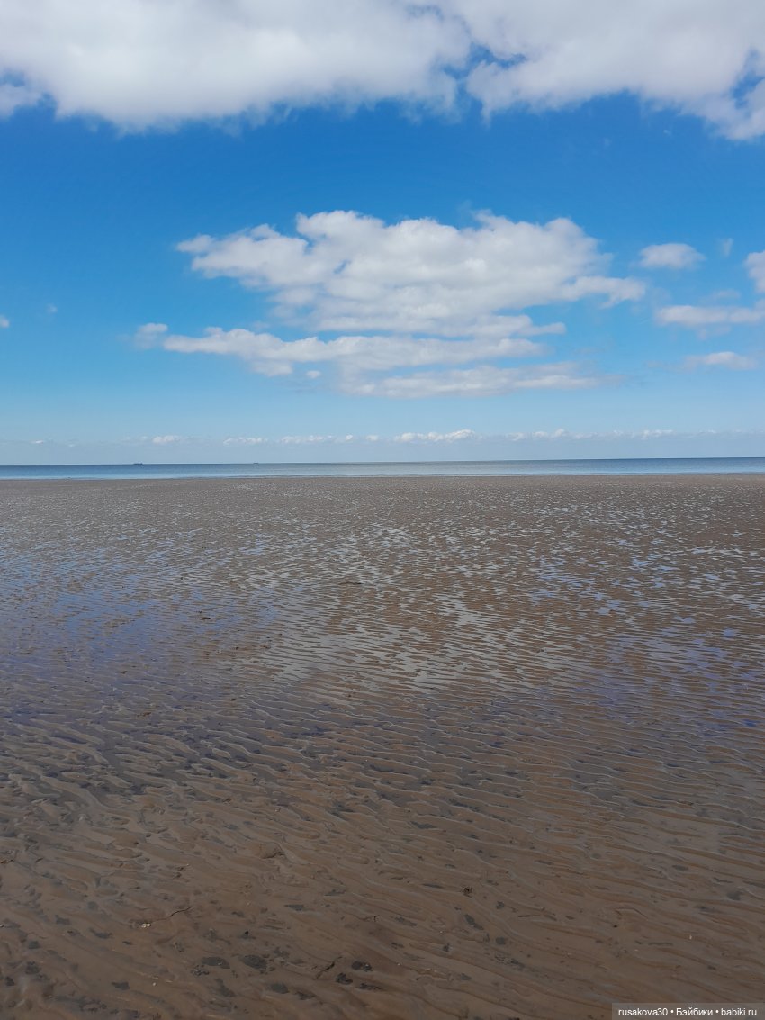 Борис и Басики у моря — Кот Басик (фото 2)