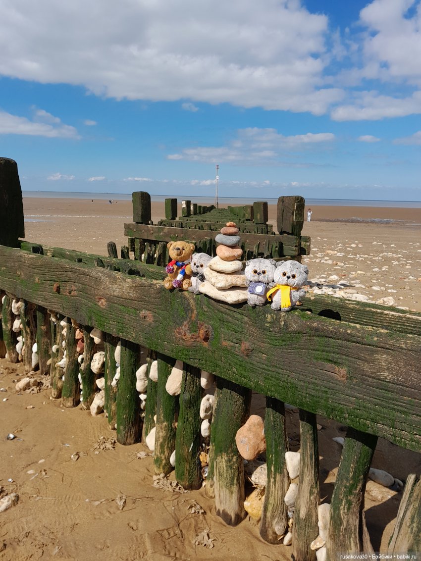 Борис и Басики у моря — Кот Басик