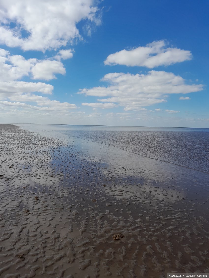 Борис и Басики у моря — Кот Басик (фото 5)