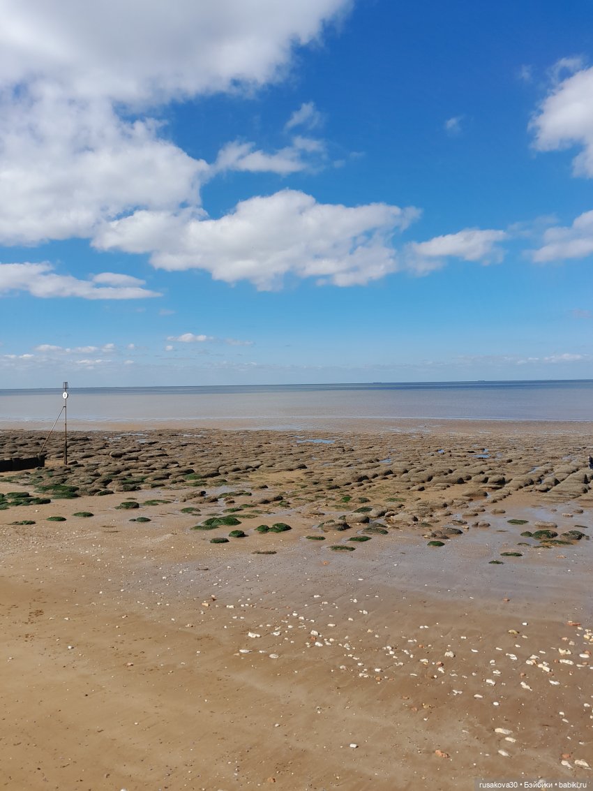 Борис и Басики у моря — Кот Басик (фото 3)