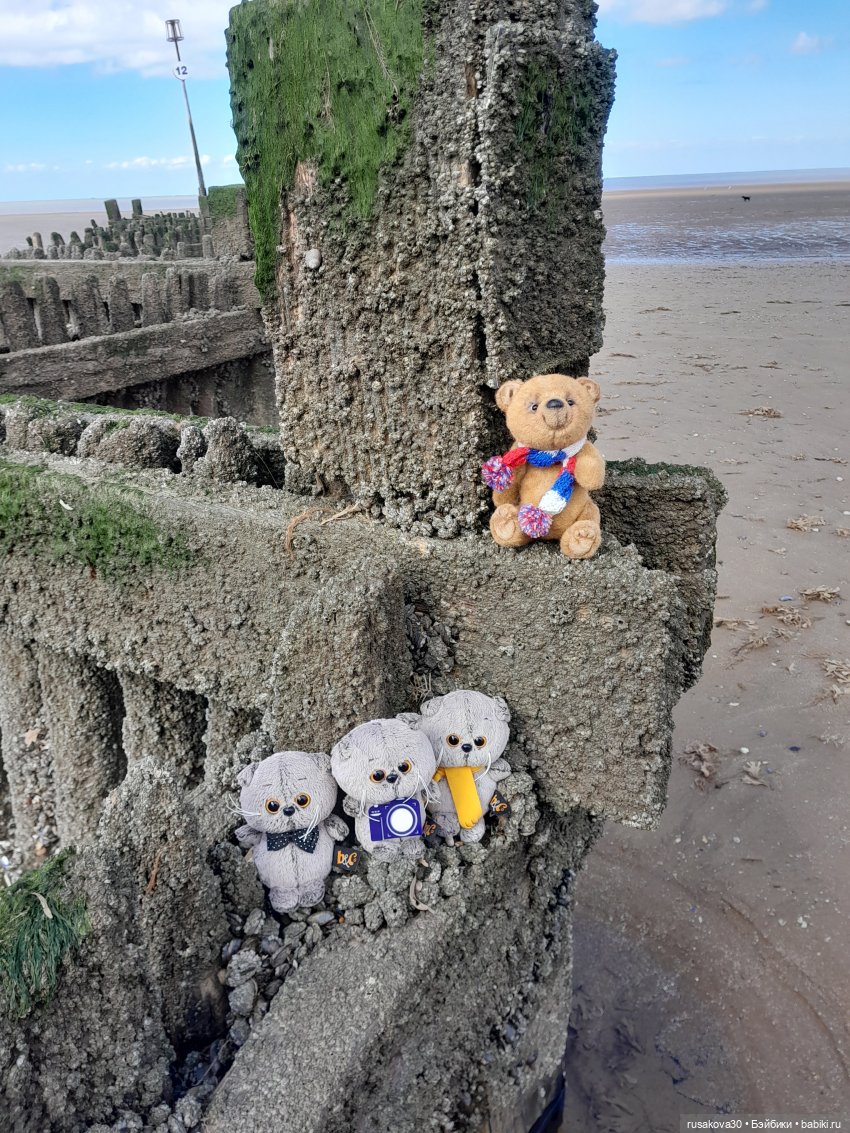 Борис и Басики у моря — Кот Басик (фото 7)