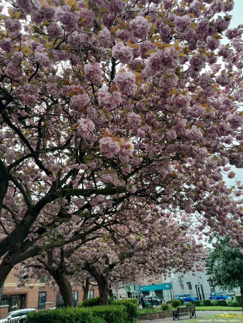 Путешествие.День третий (базарный)