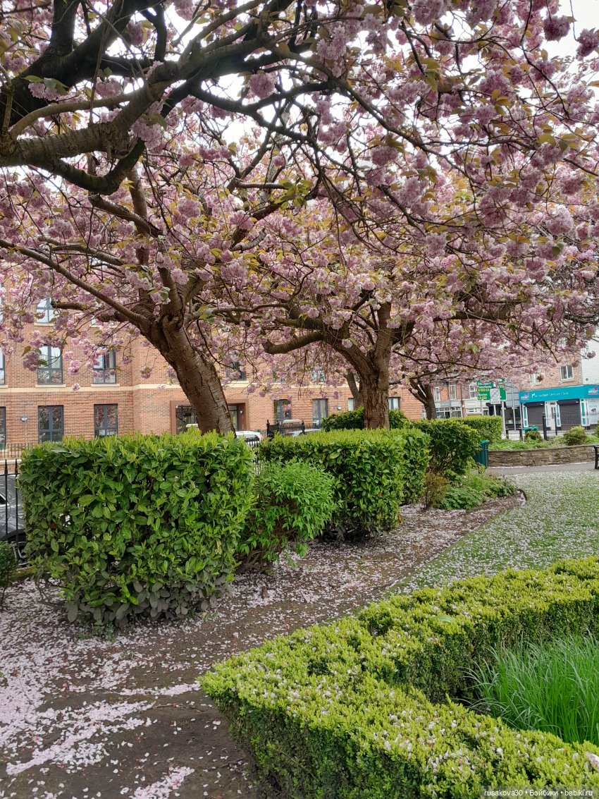 Путешествие.День третий (базарный)