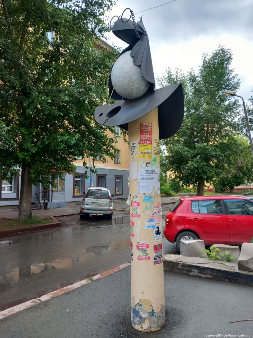 Пенни гуляет по Новосибирску