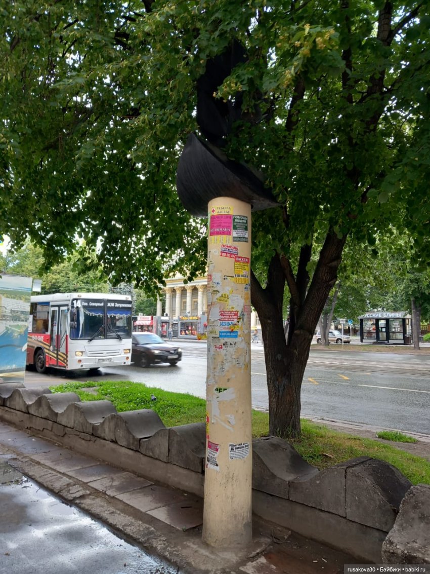 Пенни гуляет по Новосибирску