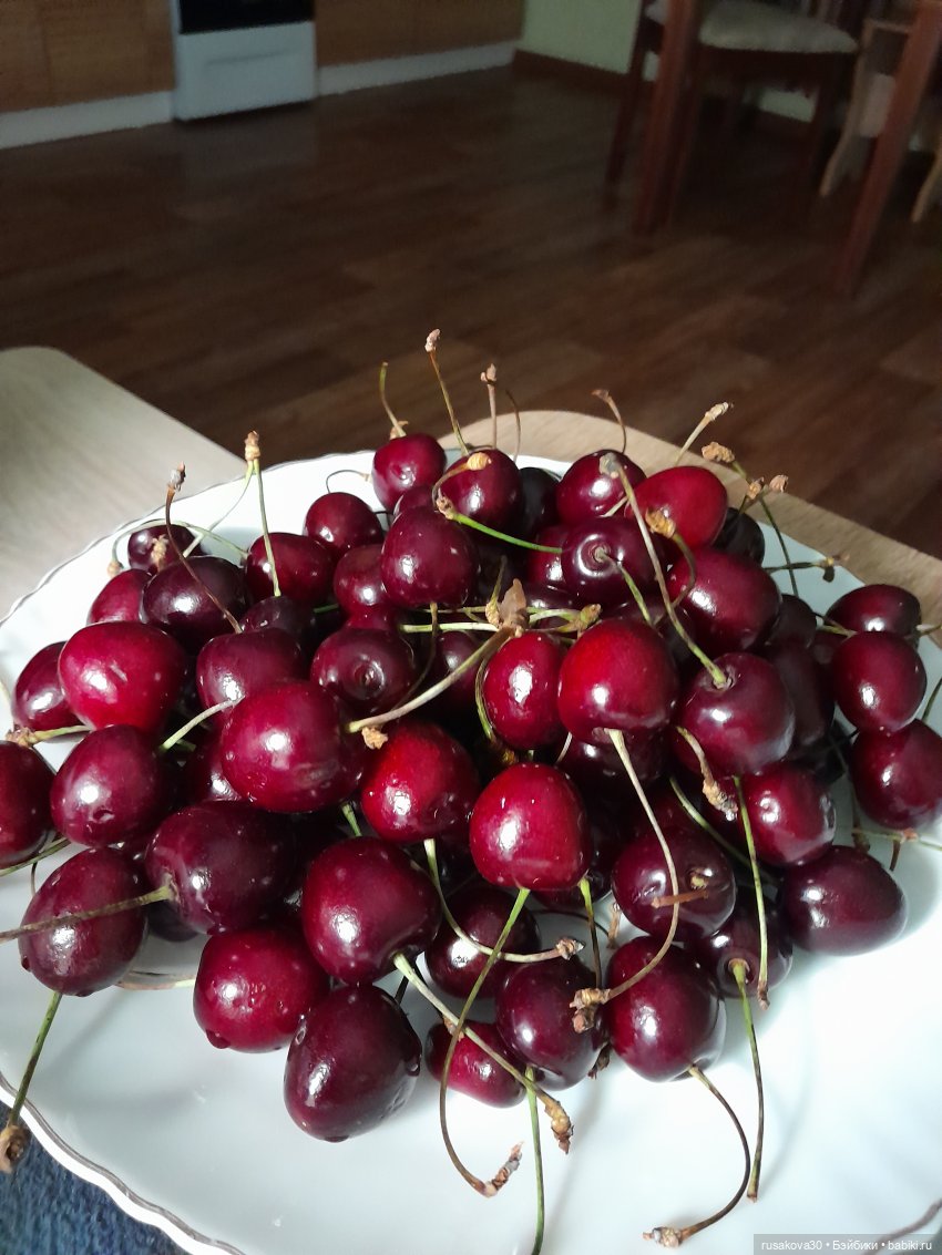 Прекрасная Лили Ченг — Куклы Rainbow High (Рейнбоу Хай (фото 8)