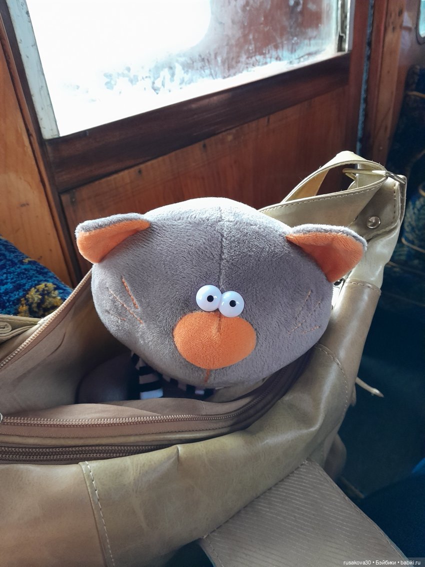 Вот и 10 лет пролетело — Домашние коллекции кукол: фото собраний