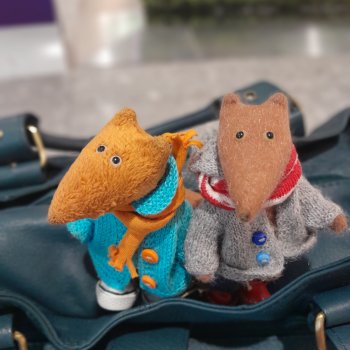 Отпуск закончился ,а воспоминания и фото остались