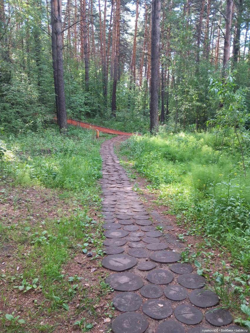 Отдых в Новосибирске — Туризм и путешествия: фотоотчеты из поездок