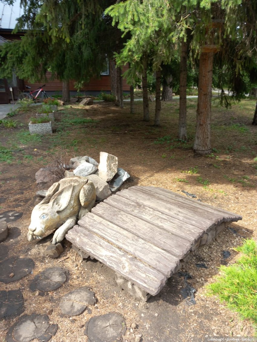 Отдых в Новосибирске — Туризм и путешествия: фотоотчеты из поездок (фото 8)