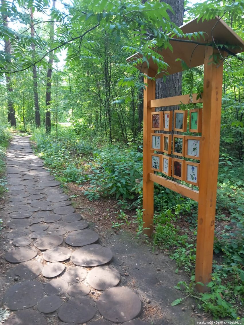 Отдых в Новосибирске — Туризм и путешествия: фотоотчеты из поездок