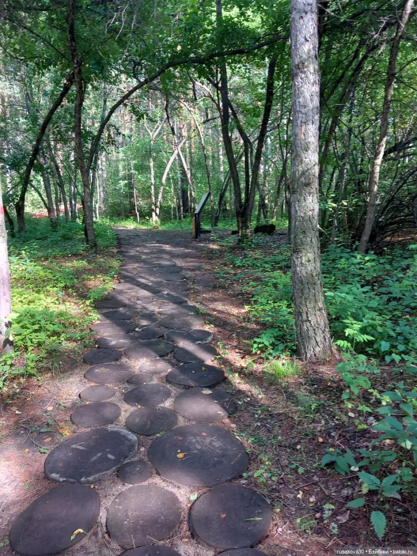 Отдых в Новосибирске — Туризм и путешествия: фотоотчеты из поездок