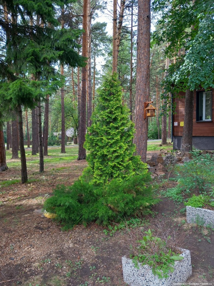 Отдых в Новосибирске — Туризм и путешествия: фотоотчеты из поездок (фото 9)