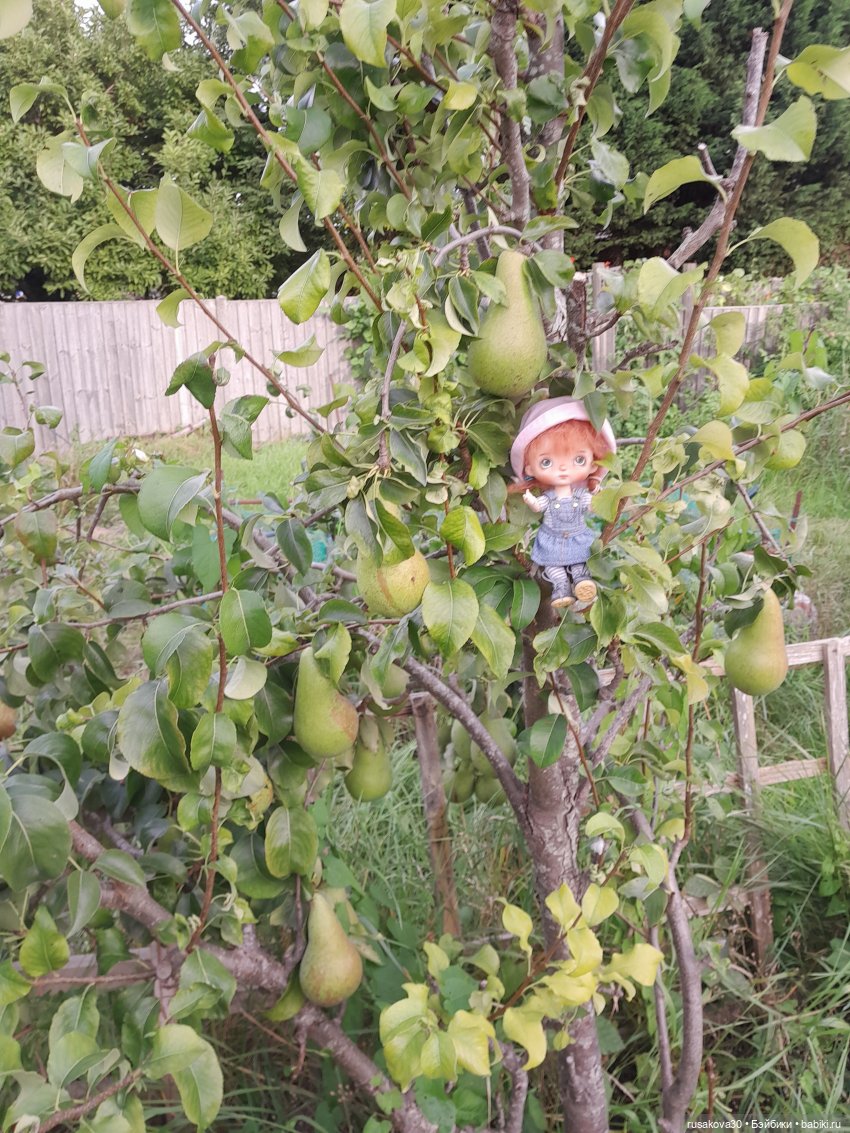 Здрасьте....я ваша Баська