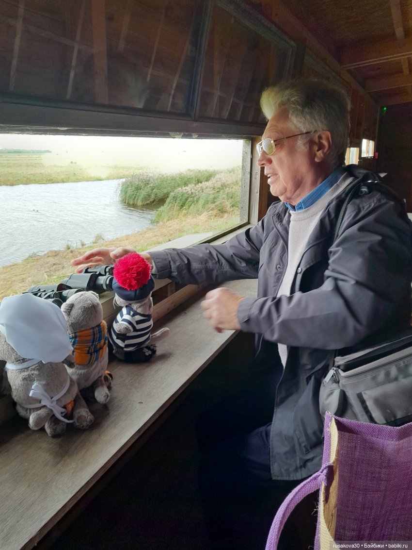 Басики - натуралисты — Кот Басик (фото 10)