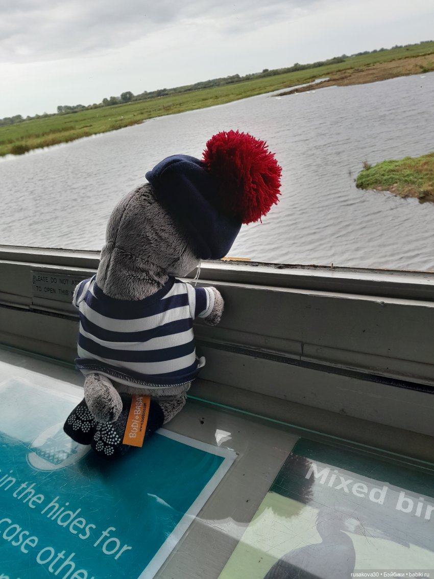 Басики - натуралисты — Кот Басик