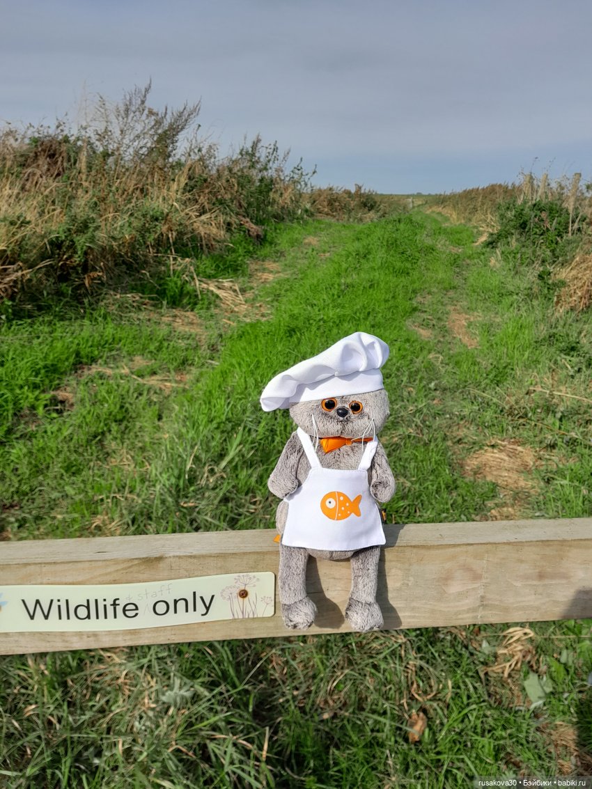 Басики - натуралисты — Кот Басик