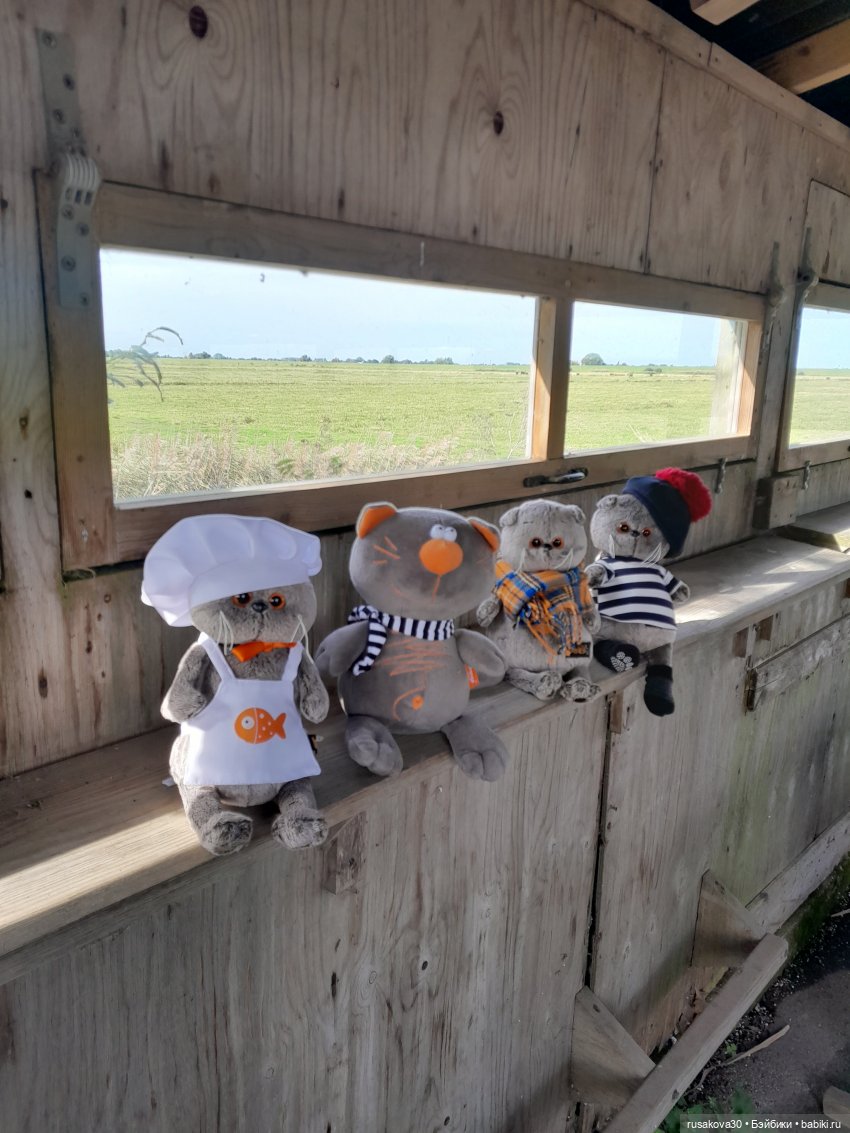 Басики - натуралисты — Кот Басик (фото 8)