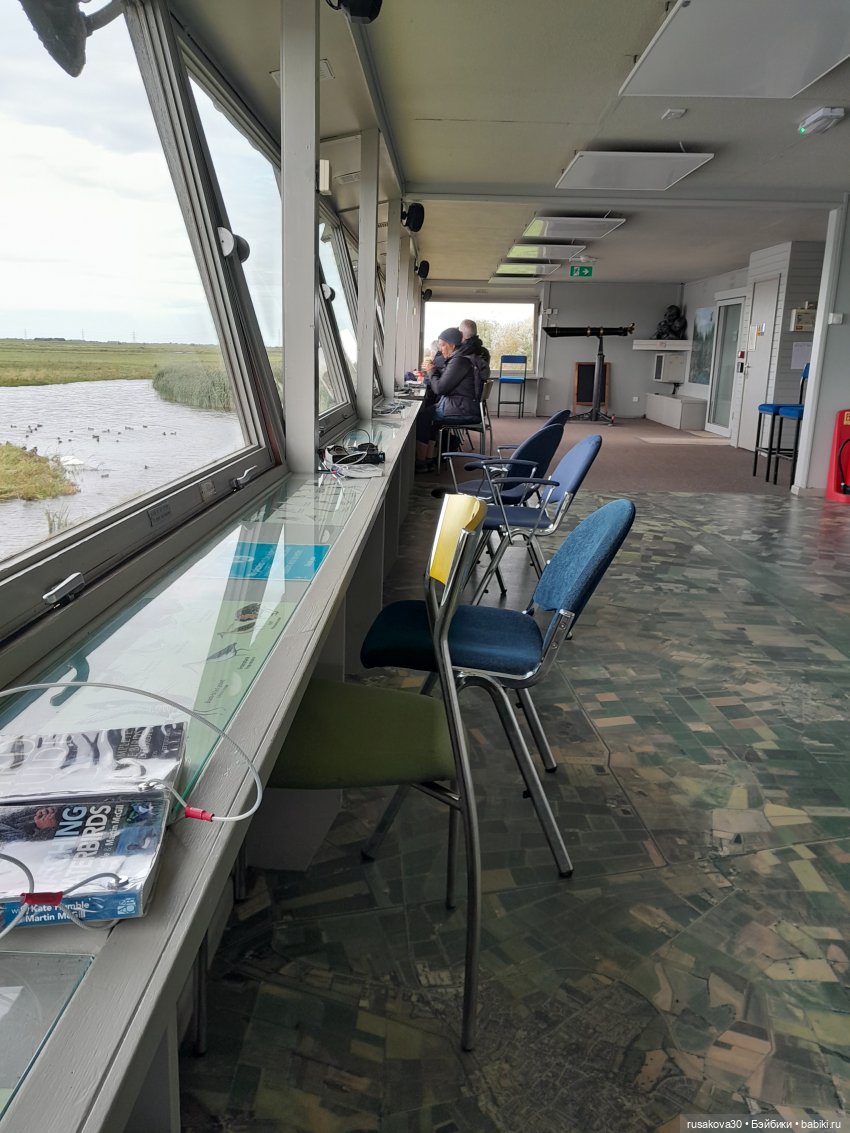 Басики - натуралисты — Кот Басик