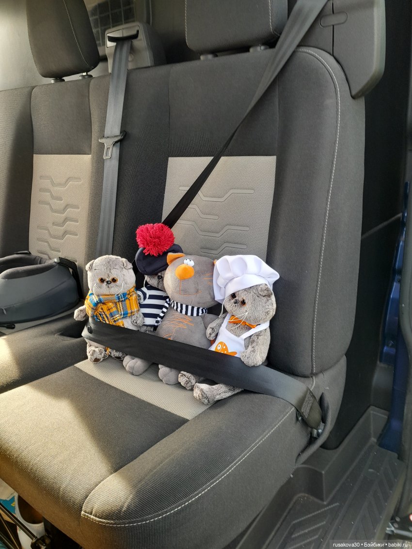 Басики - натуралисты — Кот Басик (фото 6)