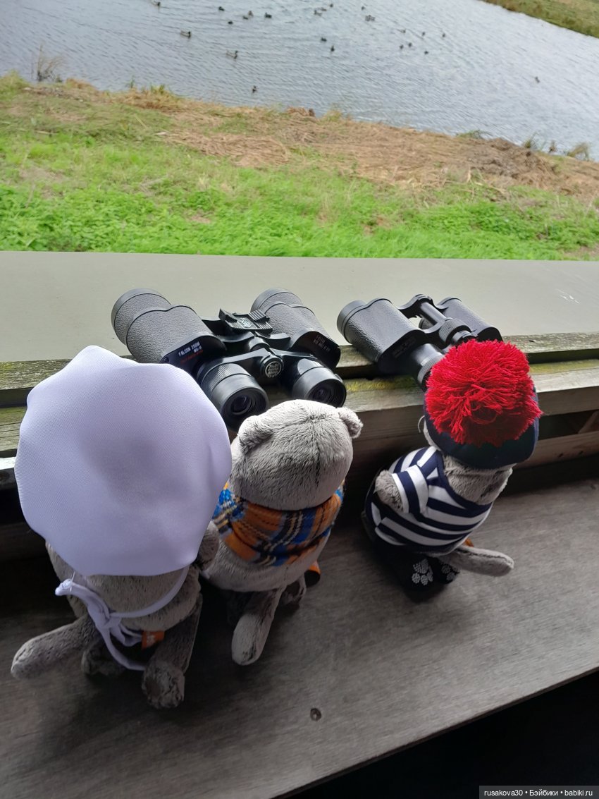 Басики - натуралисты — Кот Басик (фото 4)