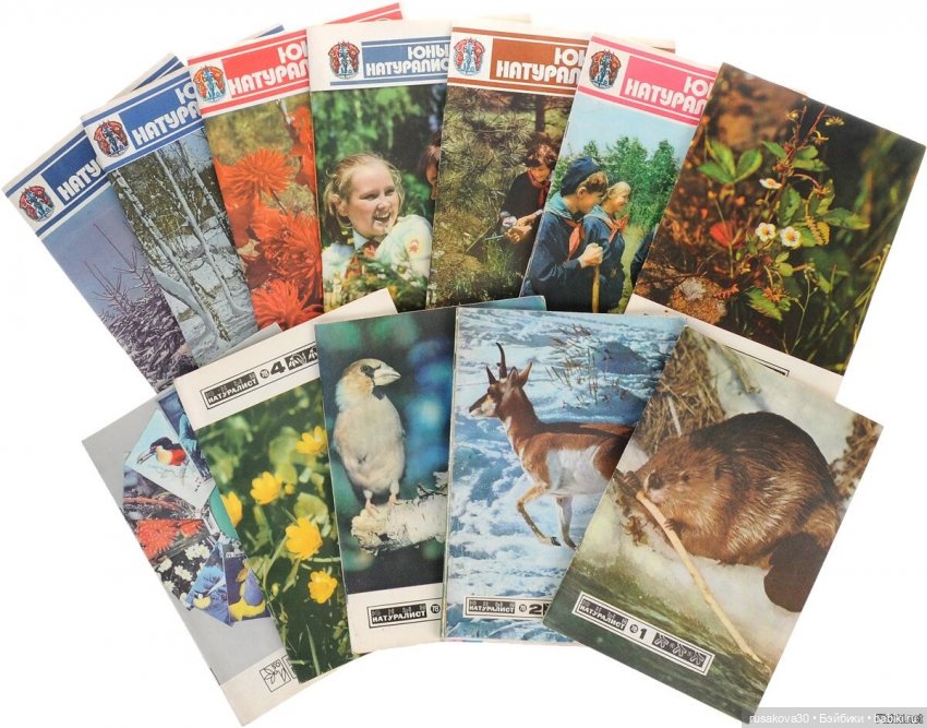 Басики - натуралисты — Кот Басик