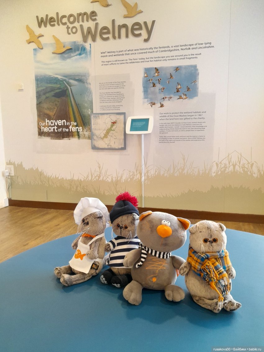 Басики - натуралисты — Кот Басик (фото 7)