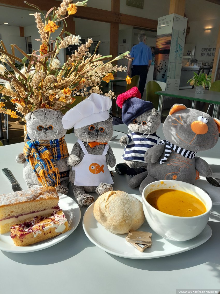 Басики - натуралисты — Кот Басик