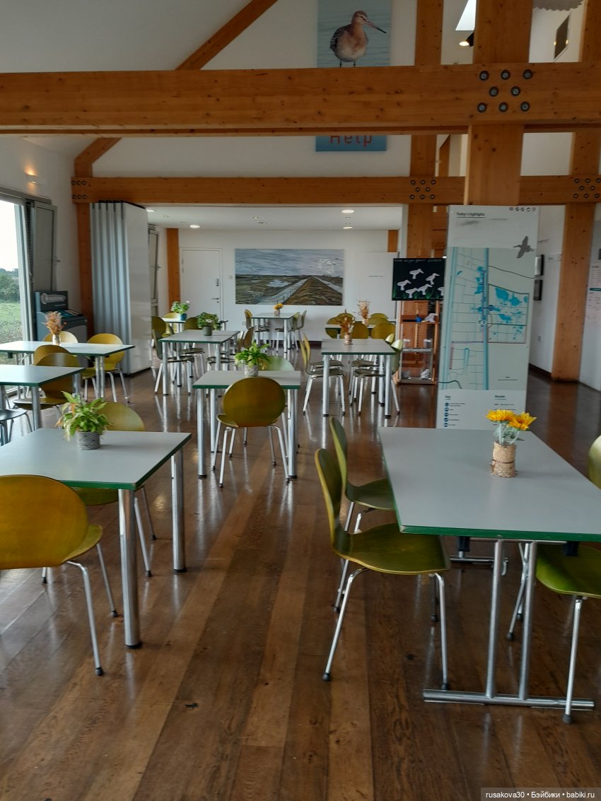 Басики - натуралисты — Кот Басик