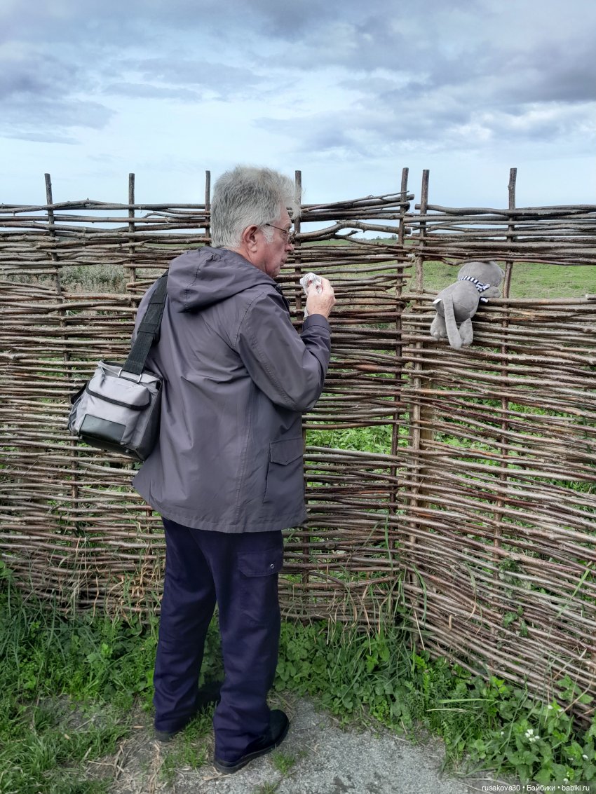 Басики - натуралисты — Кот Басик