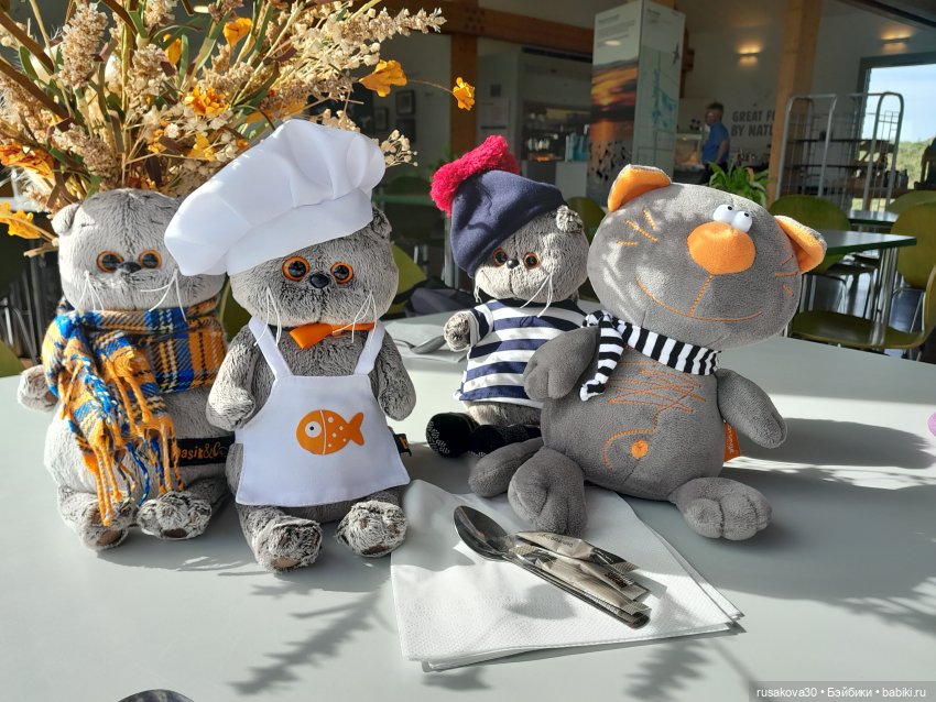 Басики - натуралисты — Кот Басик