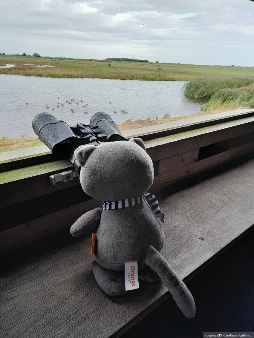 Басики - натуралисты — Кот Басик (фото 5)