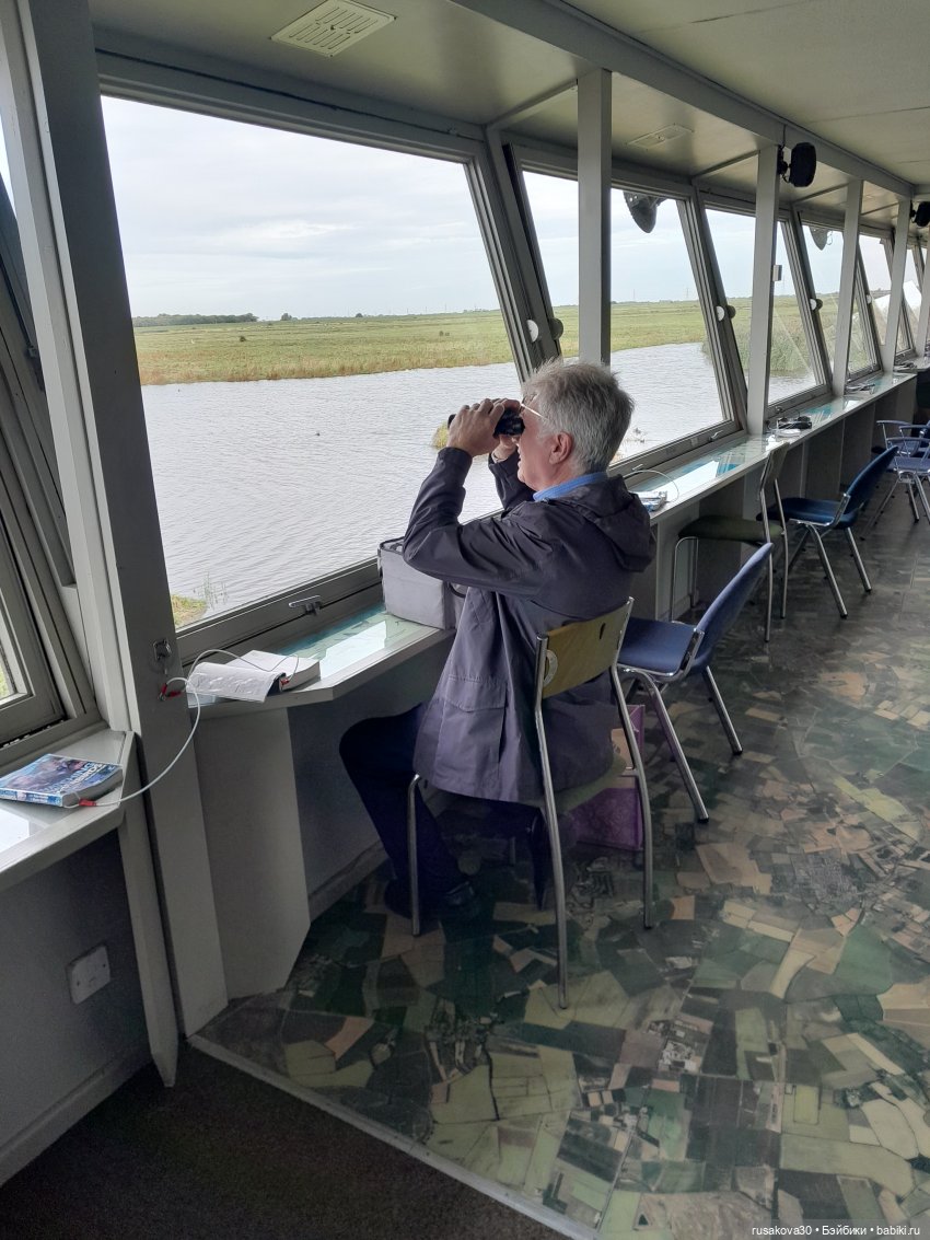 Басики - натуралисты — Кот Басик