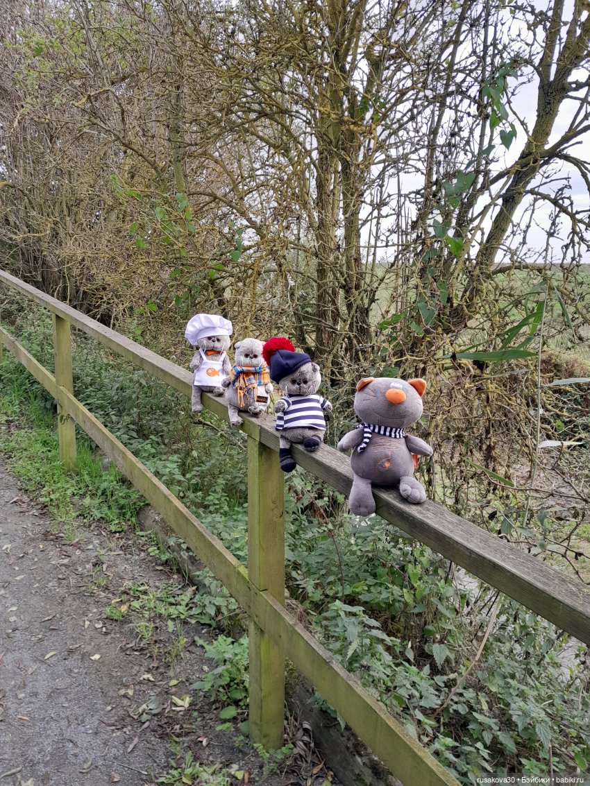 Басики - натуралисты — Кот Басик