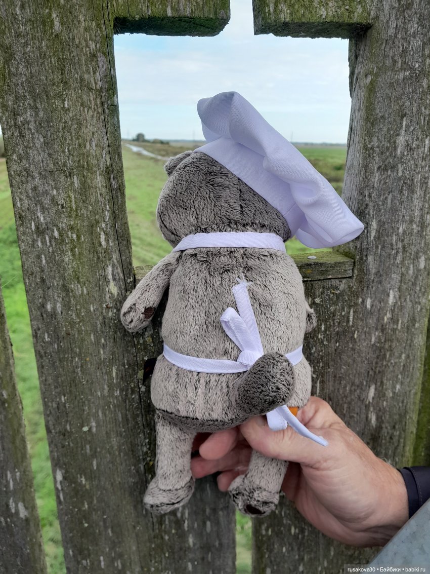 Басики - натуралисты — Кот Басик (фото 9)