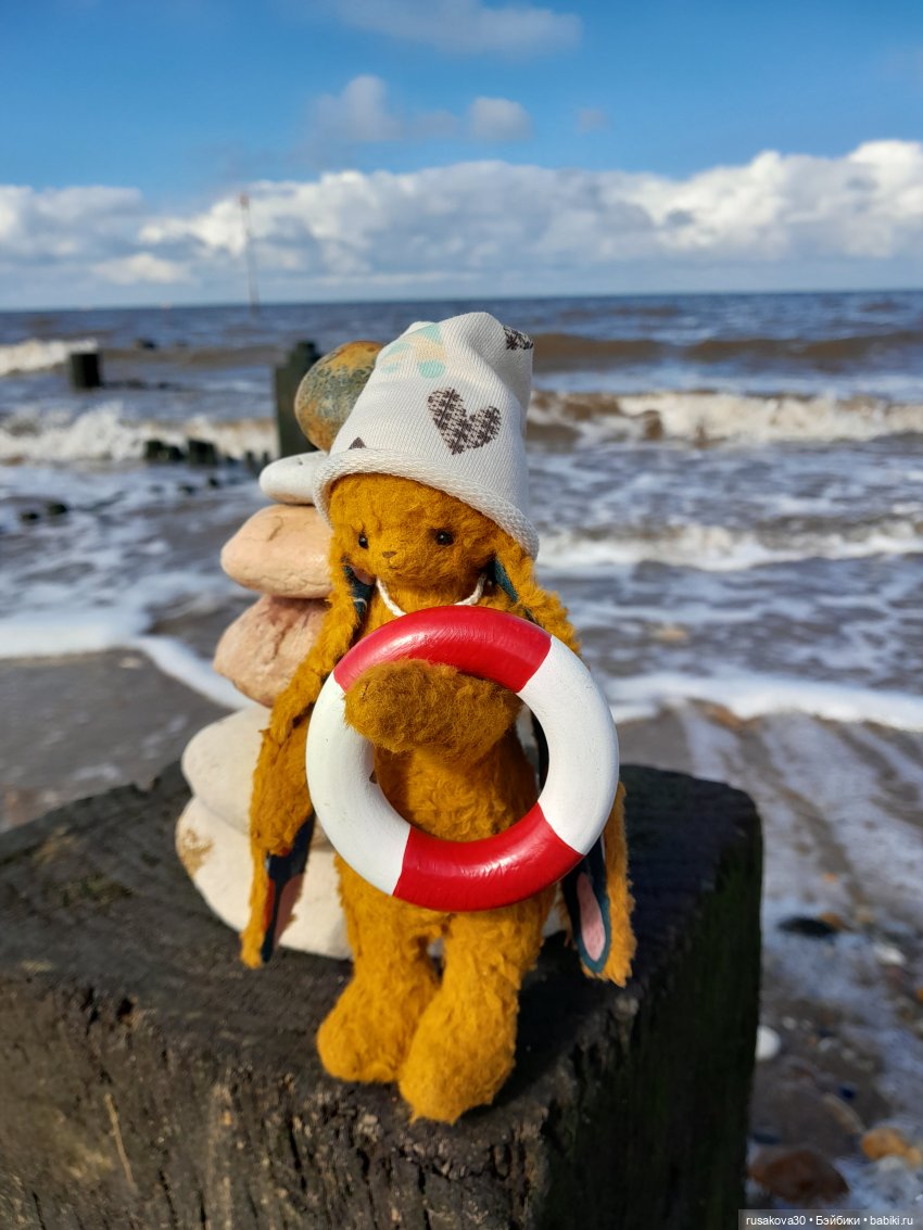 Сашенька путешествует — Авторские мишки Тедди и друзья: фото