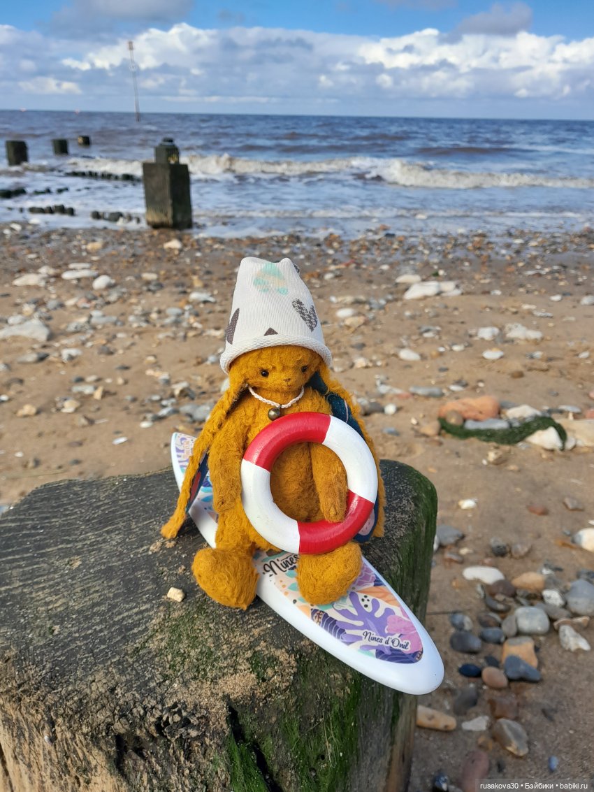 Сашенька путешествует — Авторские мишки Тедди и друзья: фото (фото 2)