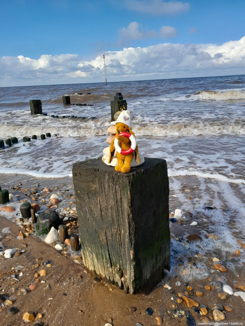 Сашенька путешествует — Авторские мишки Тедди и друзья: фото (фото 3)