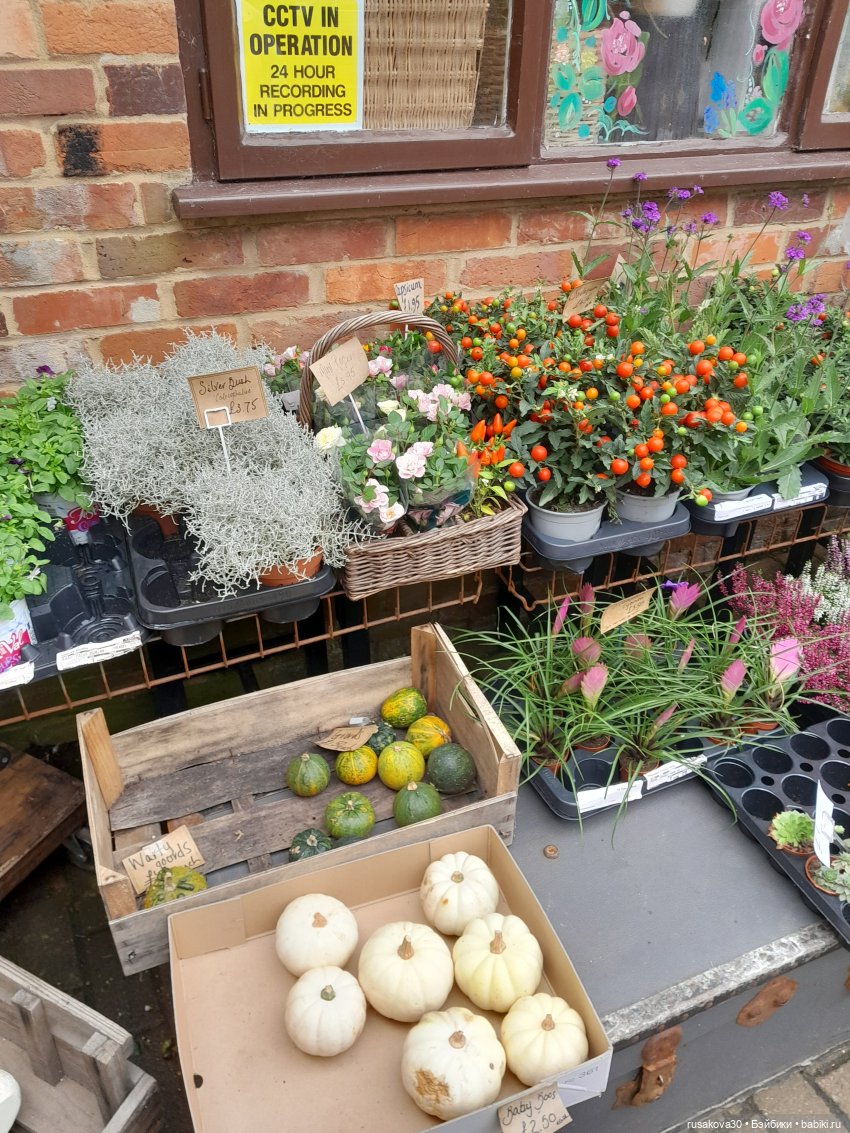 Сашенька путешествует — Авторские мишки Тедди и друзья: фото