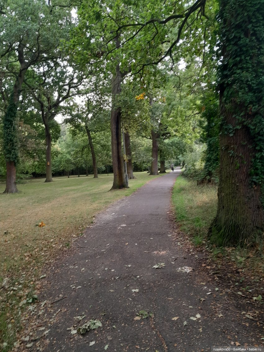 В парк, за каштанами — Интересные игрушки и фигурки (разное): редкие