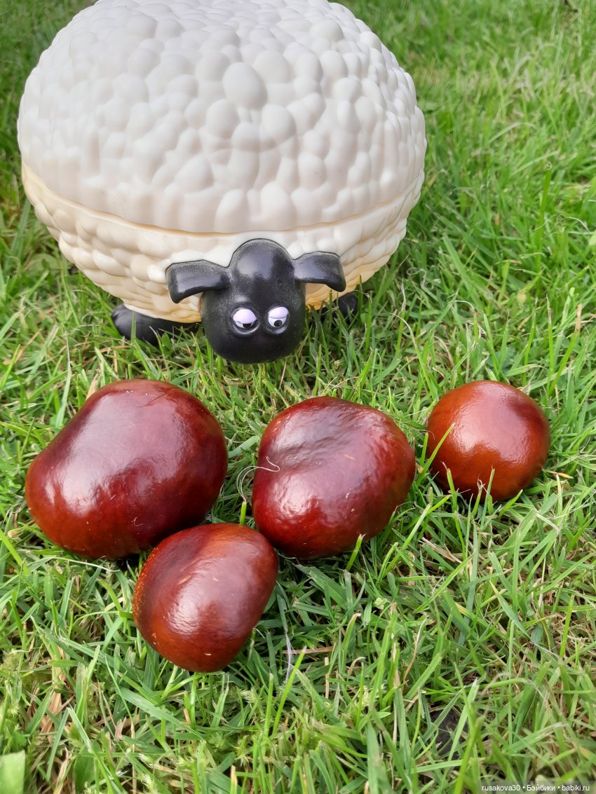 В парк, за каштанами — Интересные игрушки и фигурки (разное): редкие