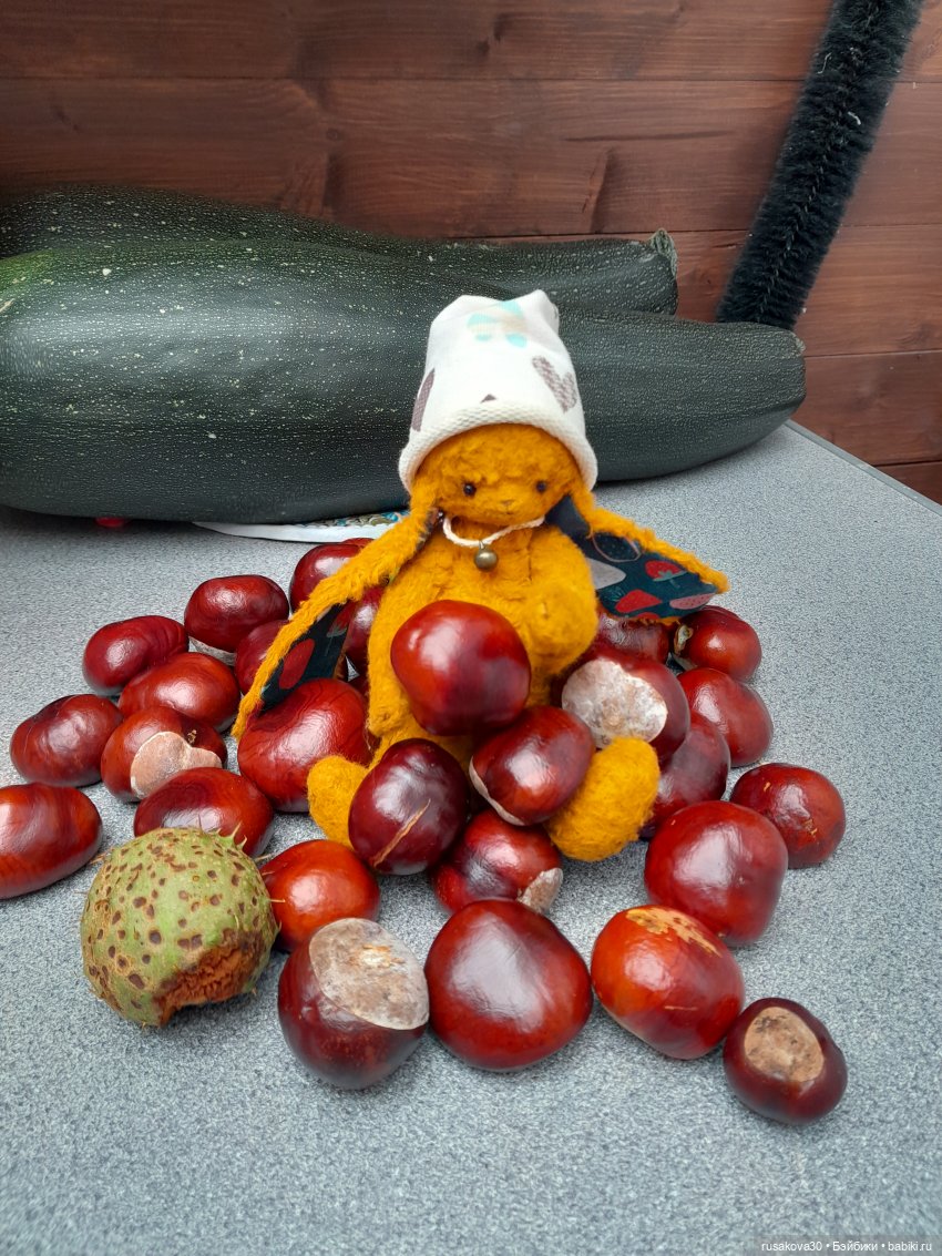 В парк, за каштанами — Интересные игрушки и фигурки (разное): редкие (фото 3)